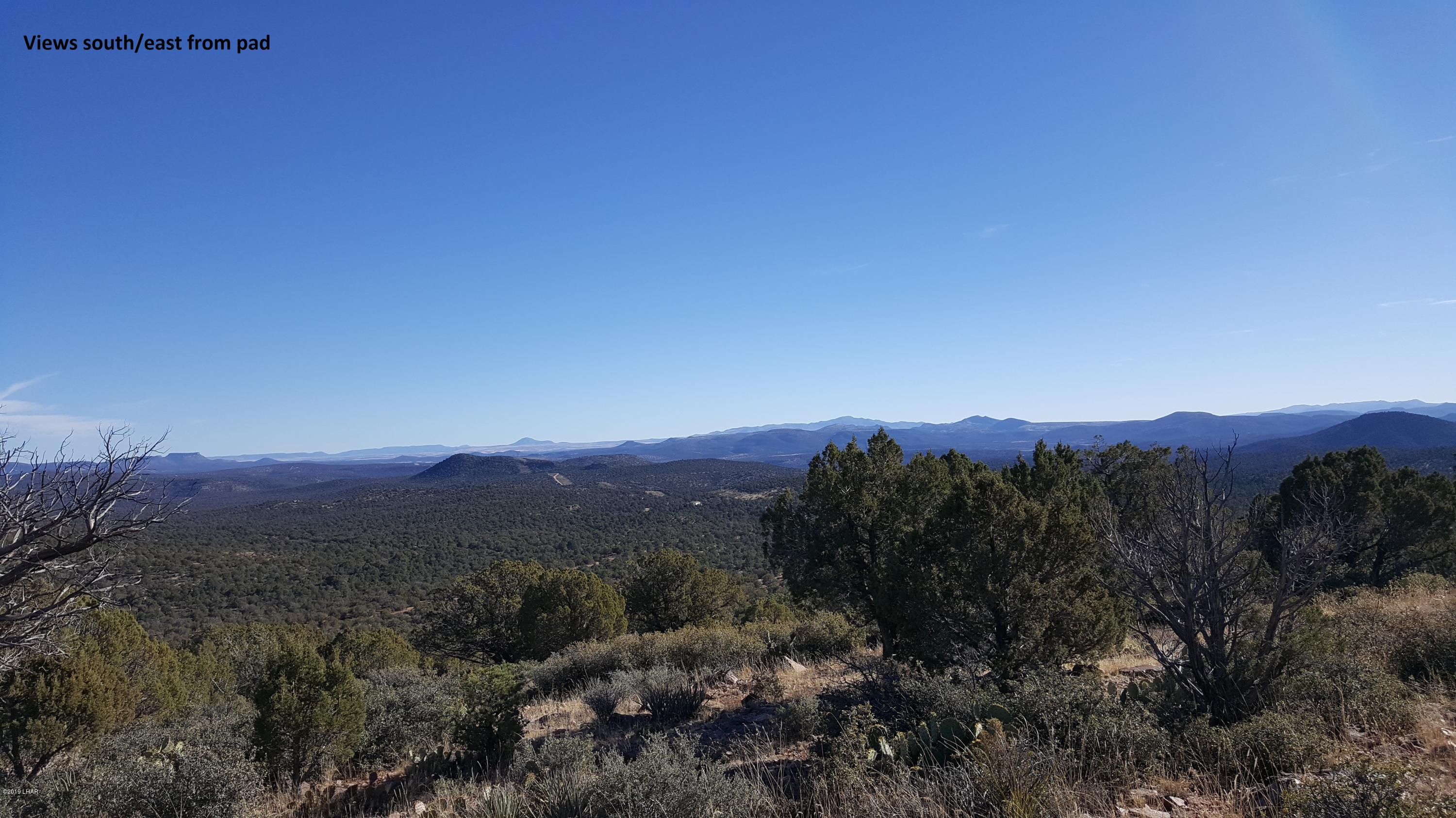 7 Unit Ranch Kingman, AZ 86401 - Photo 1 of 8 20181219_141640edited