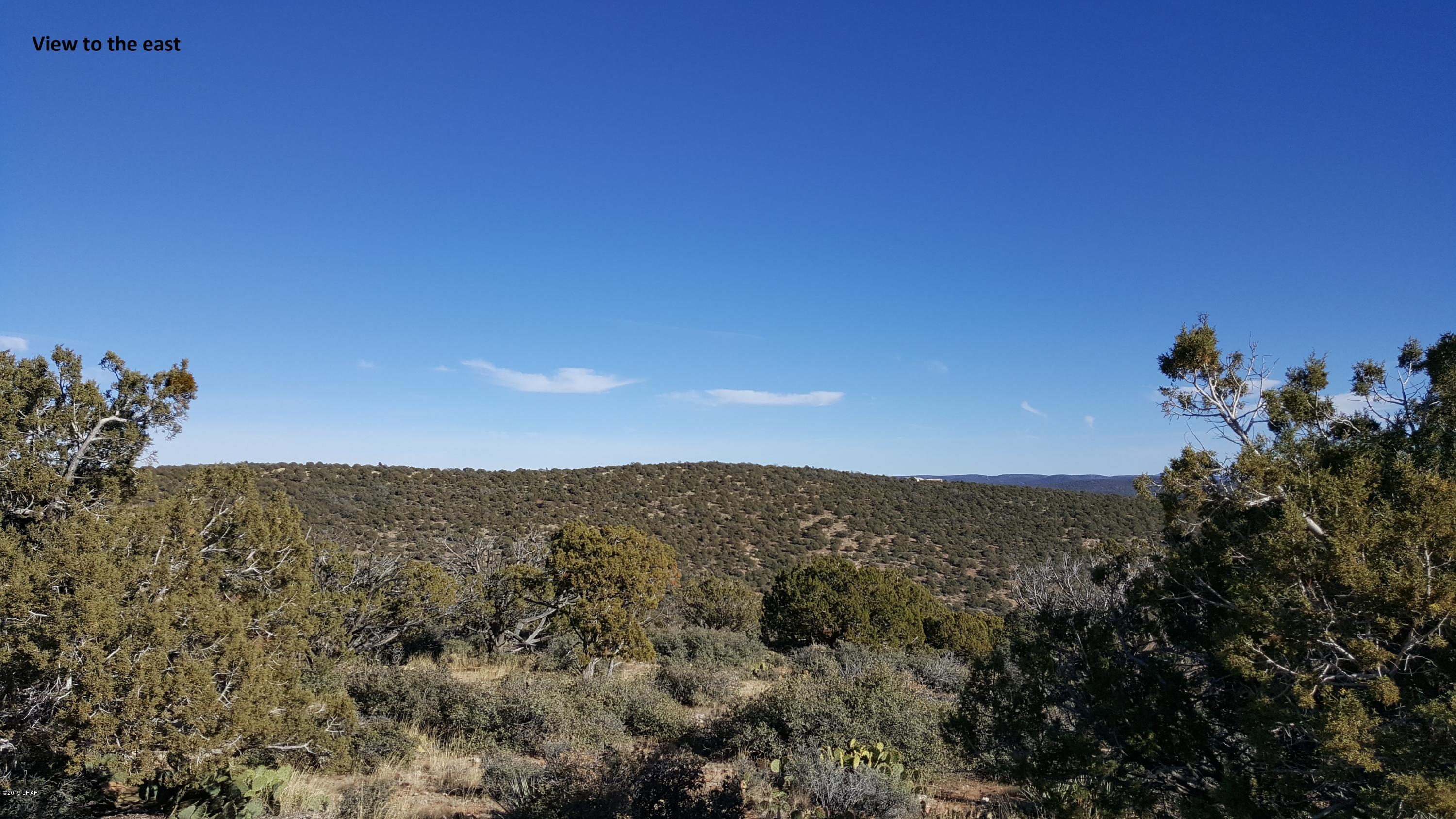 7 Unit Ranch Kingman, AZ 86401 - Photo 3 of 8 20181219_140914edited