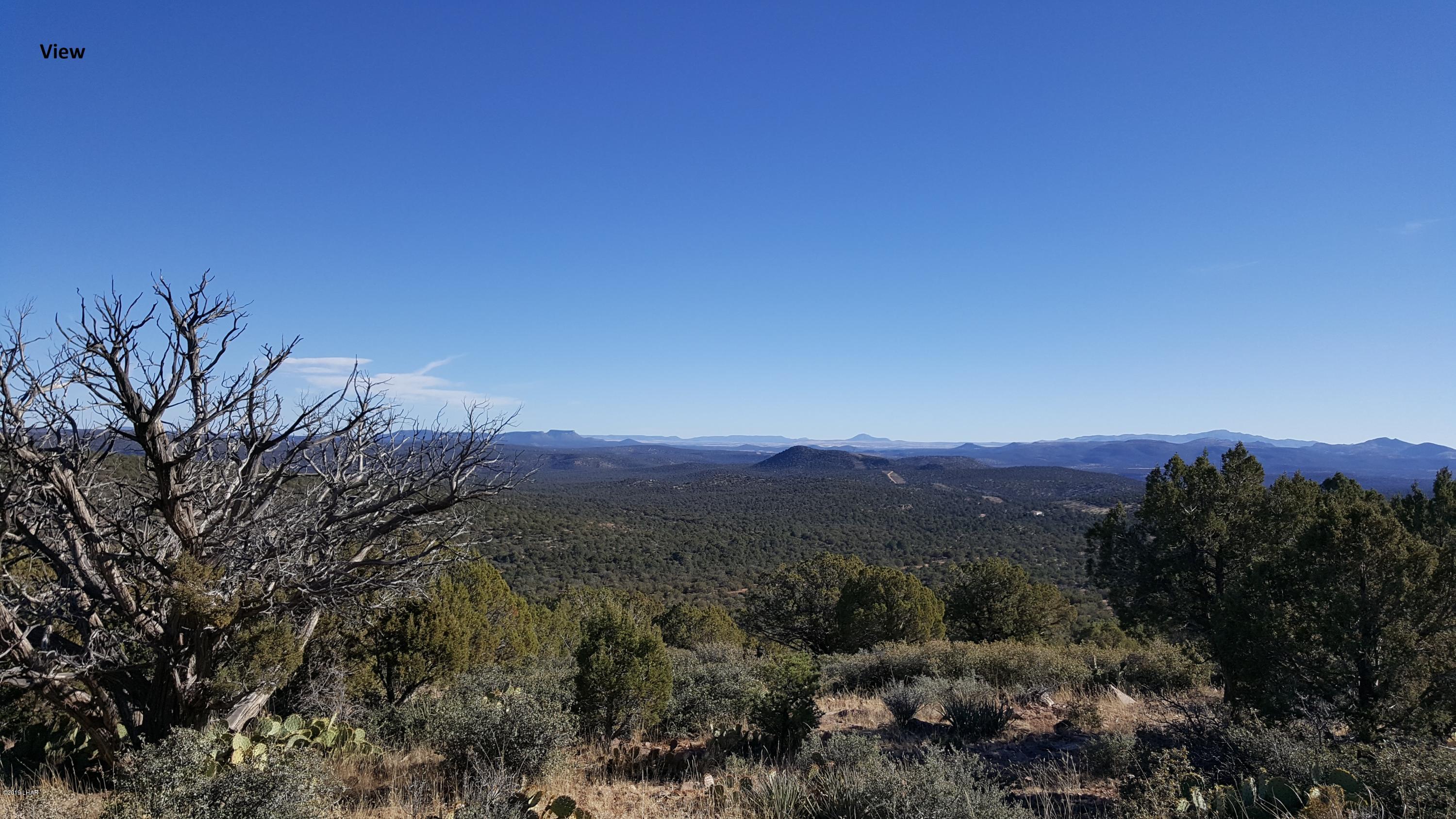 7 Unit Ranch Kingman, AZ 86401 - Photo 4 of 8 20181219_141644edited