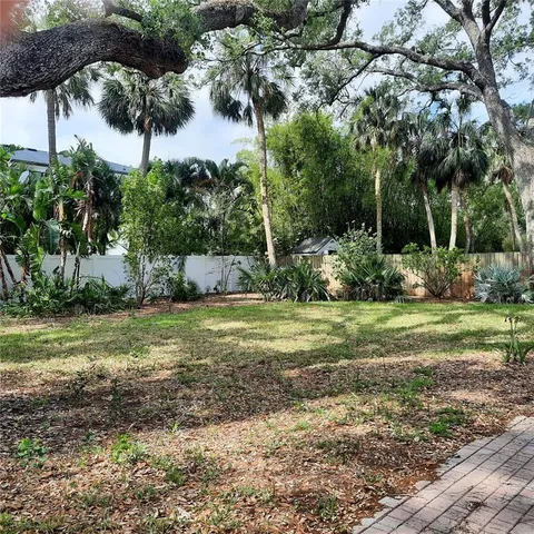 a view of backyard with plants and large trees