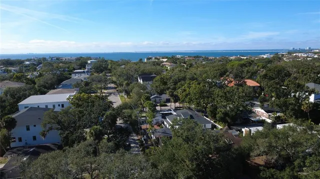 a view of a white house with a tree in front of it