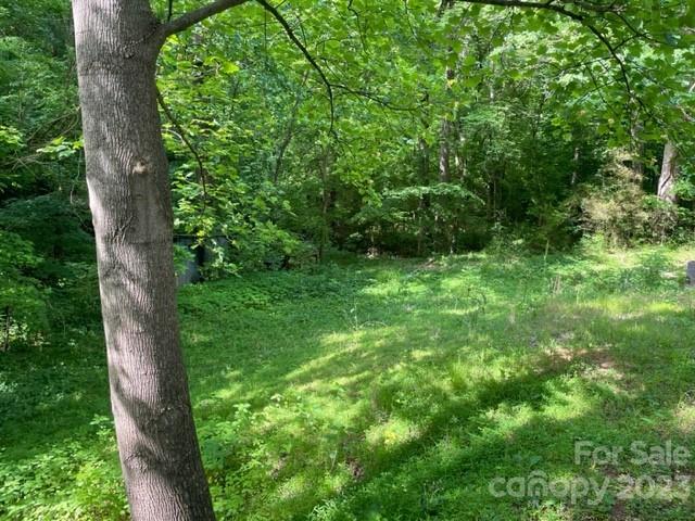 2363 Coley Pond Road Newton, NC 28658 - Photo 14 of 17 a view of a lush green forest