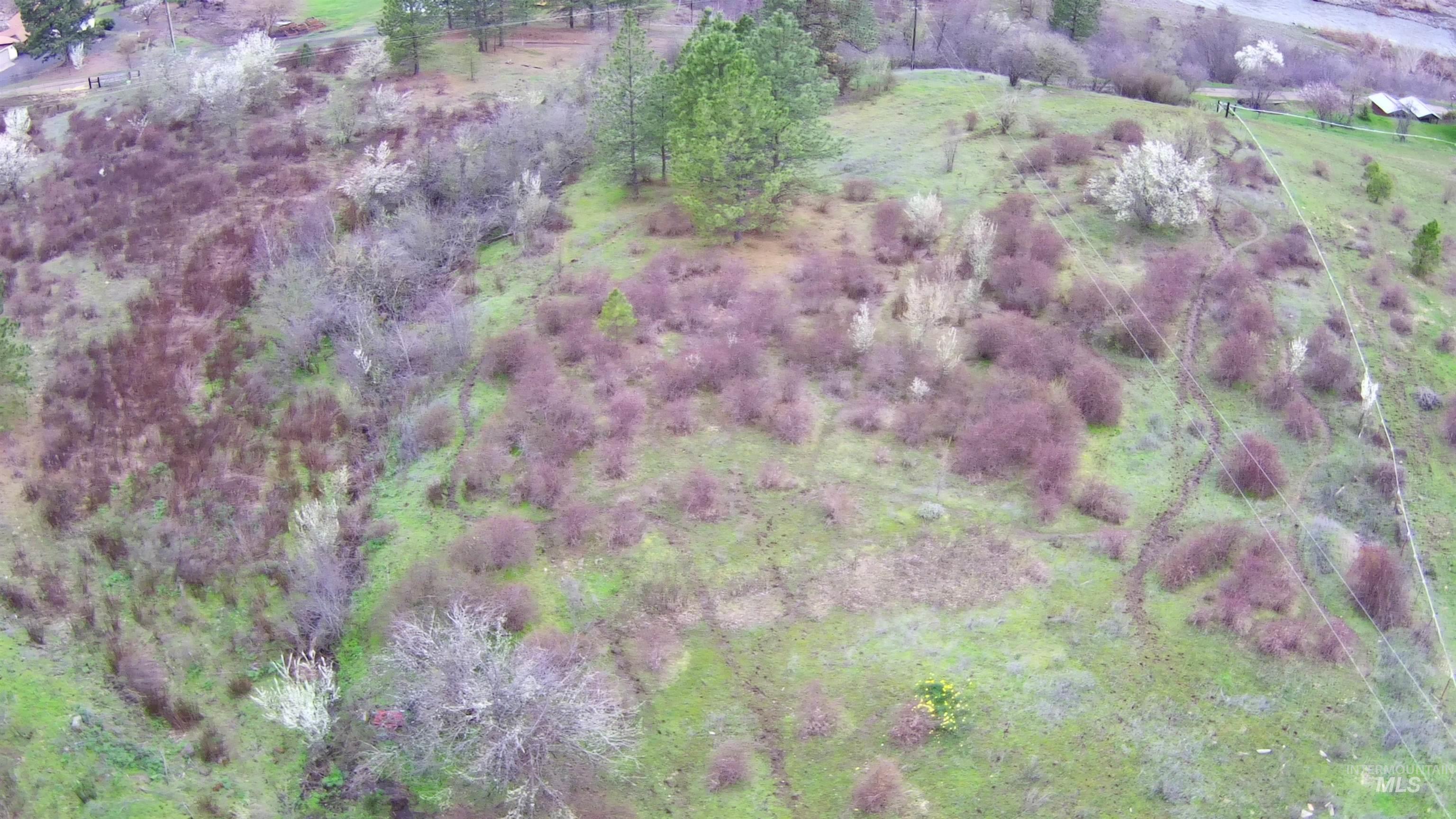 13790 Cross Farm Road Juliaetta, ID 83535 - Photo 12 of 22 Aerial view of sparsely populated area