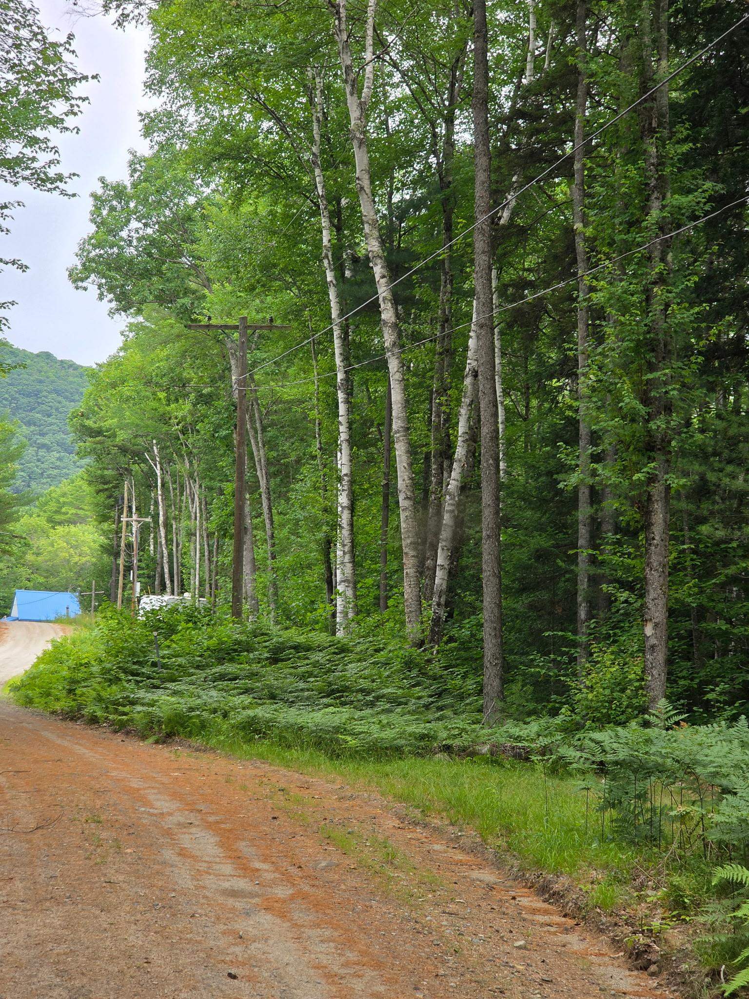 0 Stimson Road Warren, NH 03279 - Photo 9 of 10 Gallery Image 9