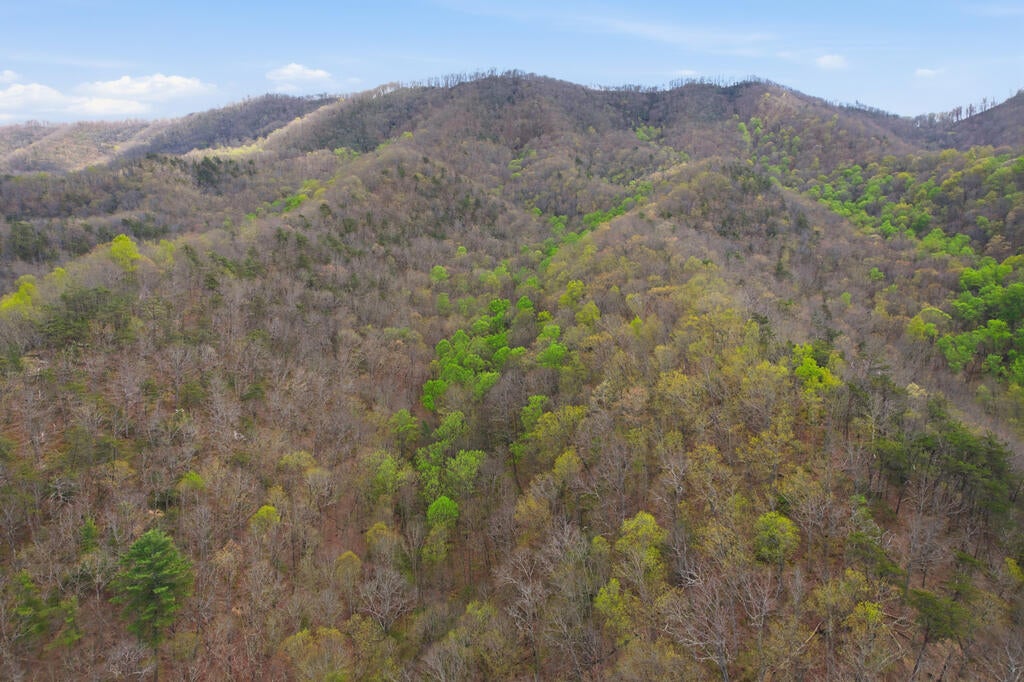 4020 Freestone Valley Road Tannersville, VA 24377 - Photo 39 of 109 Gallery Image 39