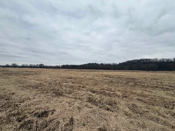 $284,900 | 37.11-ac Davis, Argyle, WI 53504