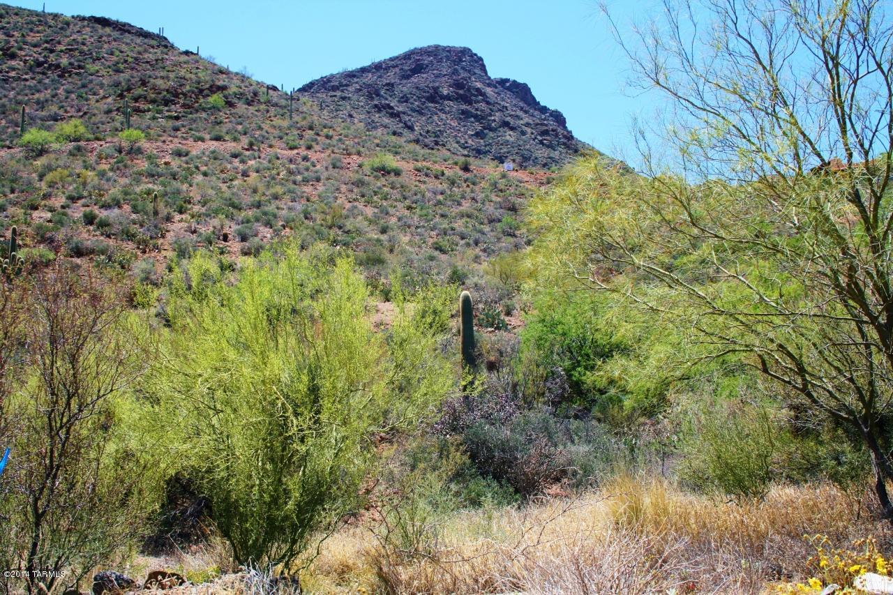 6241 West Trails End Road, Unit 17 Tucson, AZ 85745 - Photo 9 of 24
