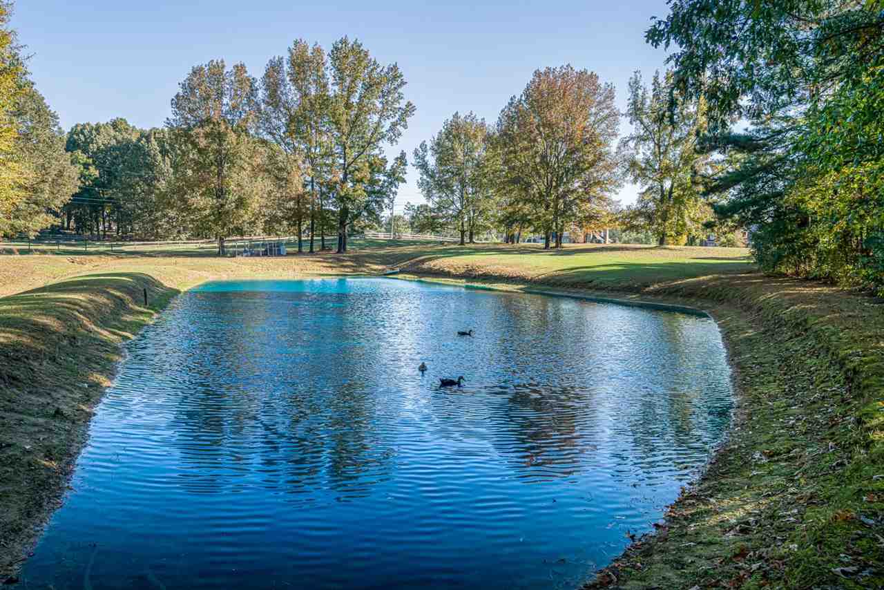 8955 Brunswick Road Millington, TN 38053 - Photo 23 of 25 Gallery Image 23