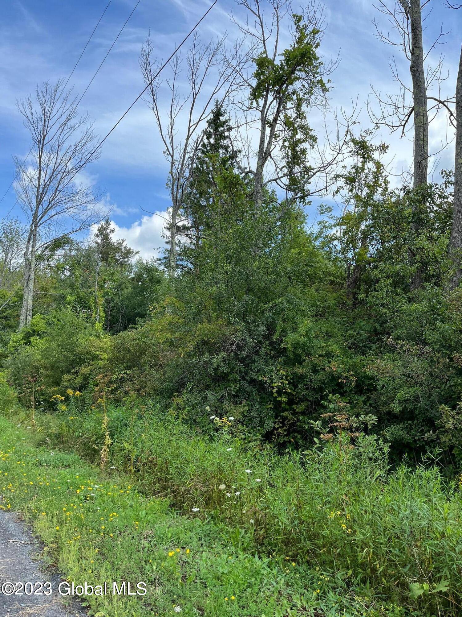 L-27 Olmo Lane Rensselaerville, NY 12147 - Photo 1 of 10 IMG_4283