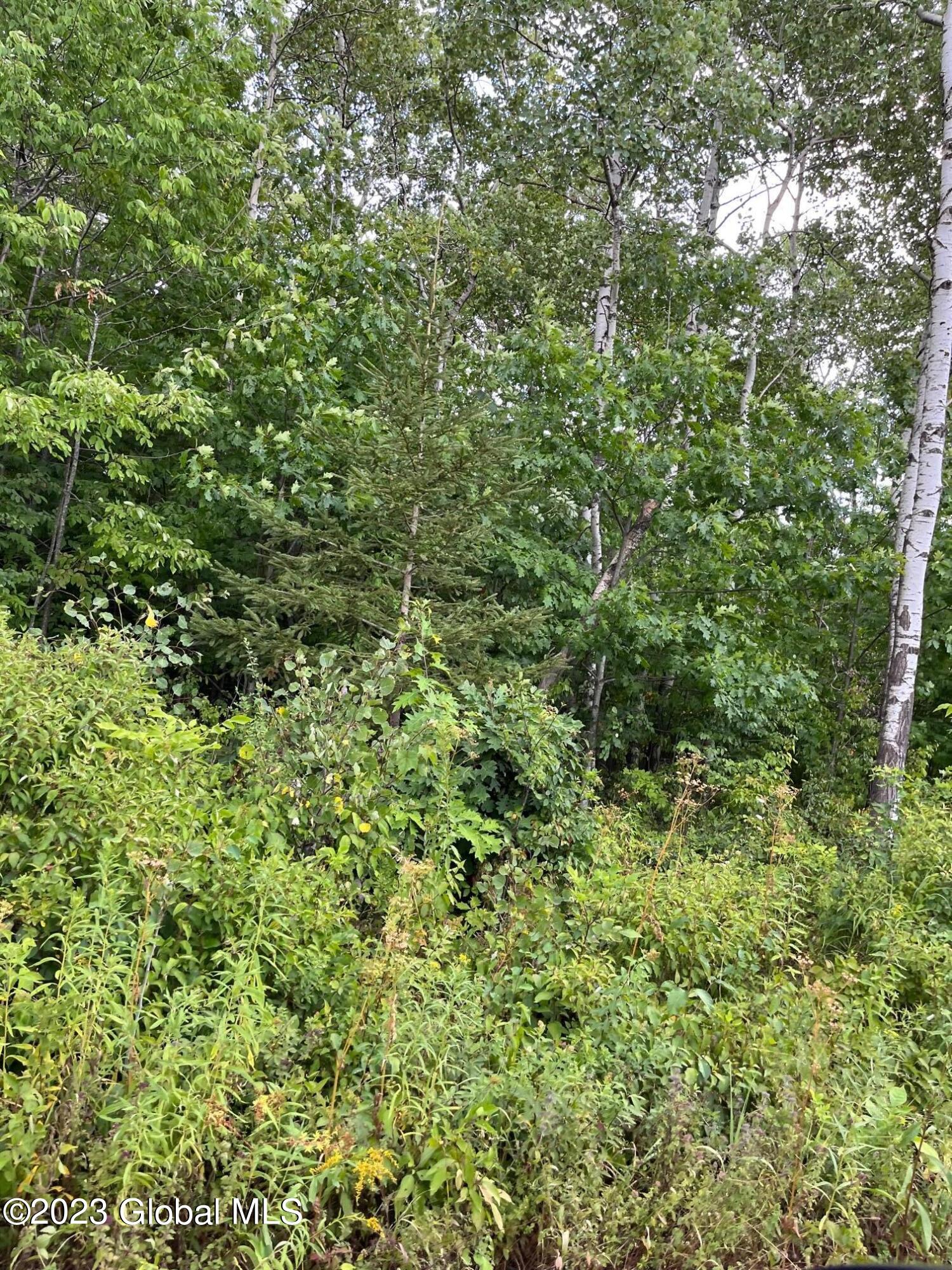 L-27 Olmo Lane Rensselaerville, NY 12147 - Photo 7 of 10 IMG_4290 (1)