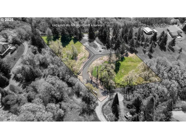 a black and white photo of a house