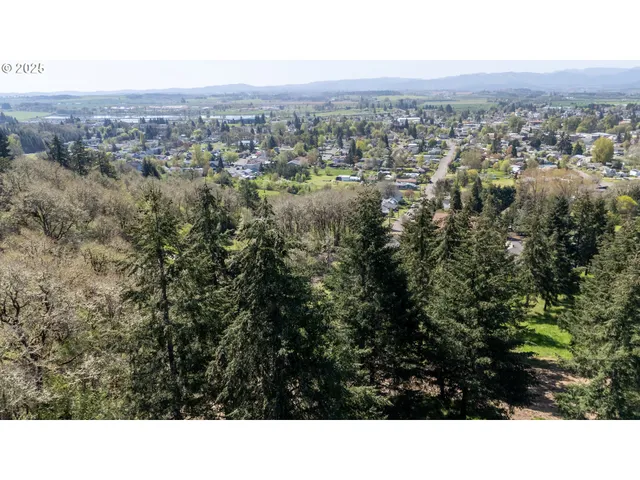 a view of outdoor space and city view