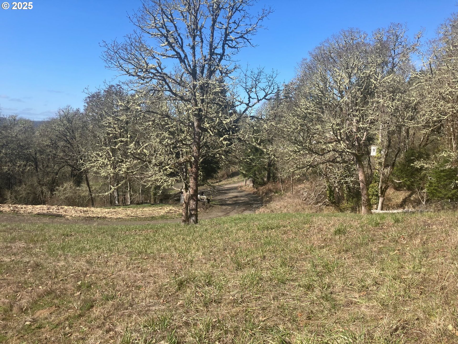 Ne Centre, Unit 4 Sheridan, OR 97378 - Photo 2 of 30 a view of a yard with a tree