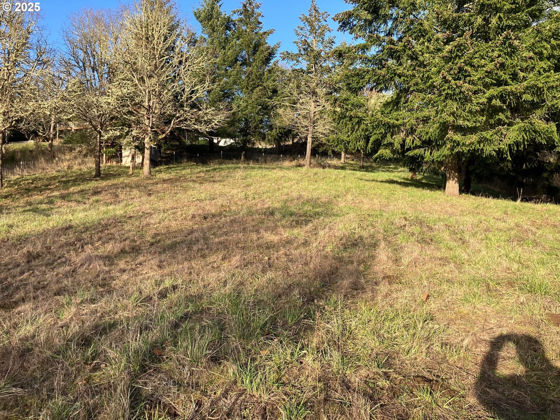 Ne Centre, Unit 4 Sheridan, OR 97378 - Photo 3 of 30 a backyard of a house with large trees