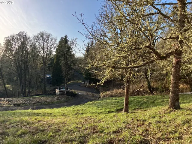 a view of outdoor space with trees