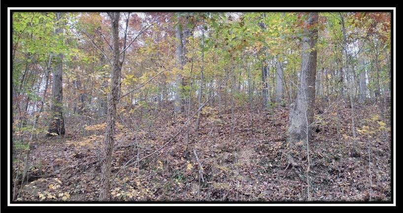 2169 Mohawk Coal Road Wellston, OH 45692 - Photo 11 of 58 image011