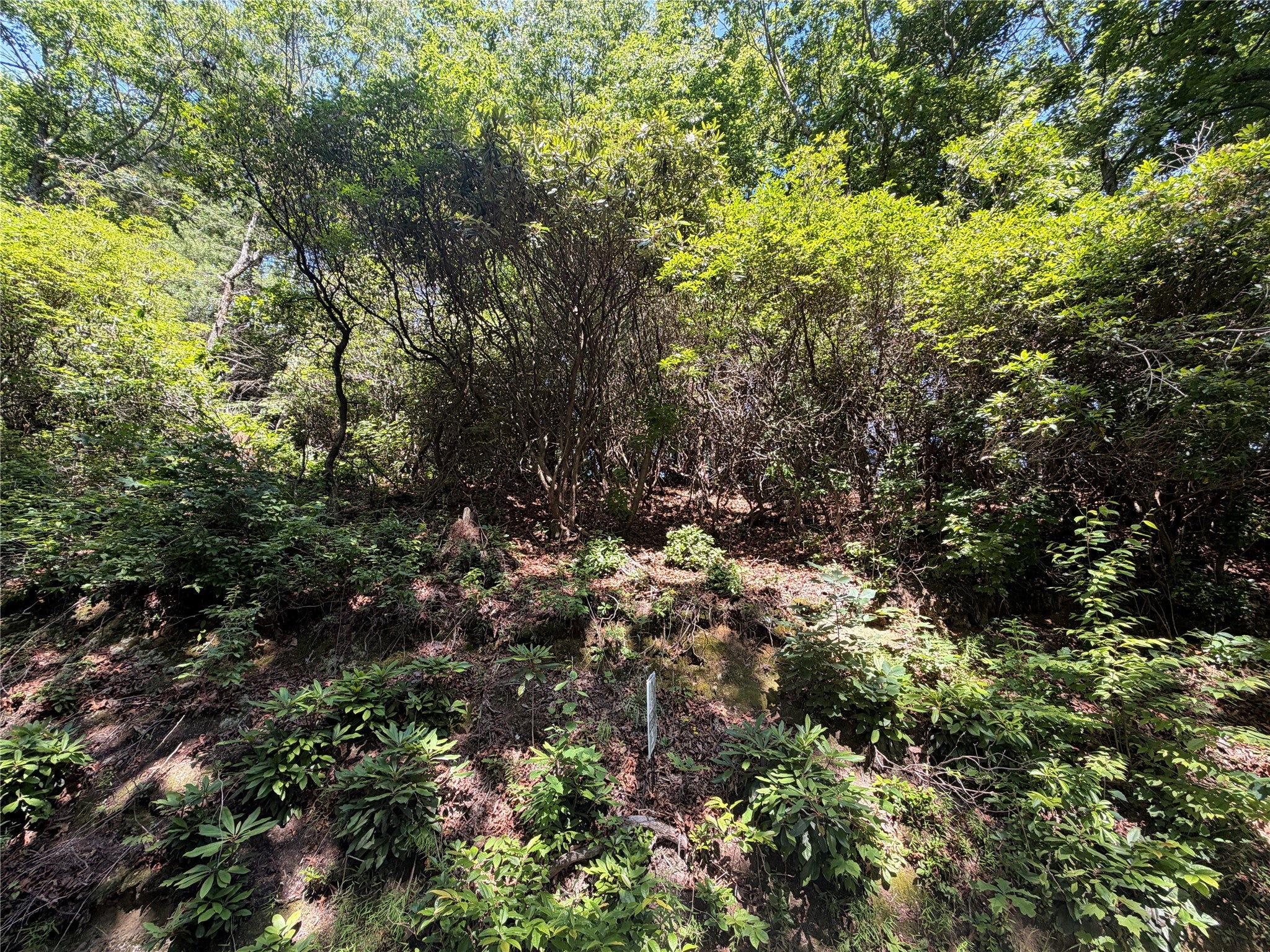 0 Old Bear Ridge Road Scaly Mountain, NC 28775 - Photo 1 of 7 Gallery Image 1