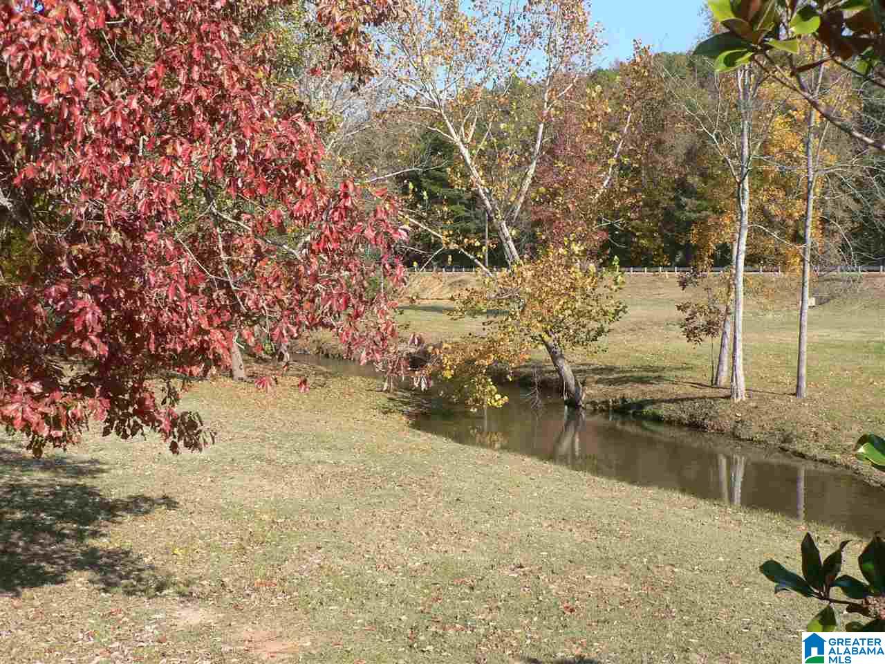 311 Blackberry Boulevard Springville, AL 35146 - Photo 22 of 25