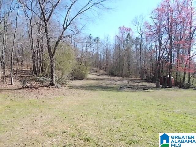 8075 Cavern Road Trussville, AL 35173 - Photo 5 of 29