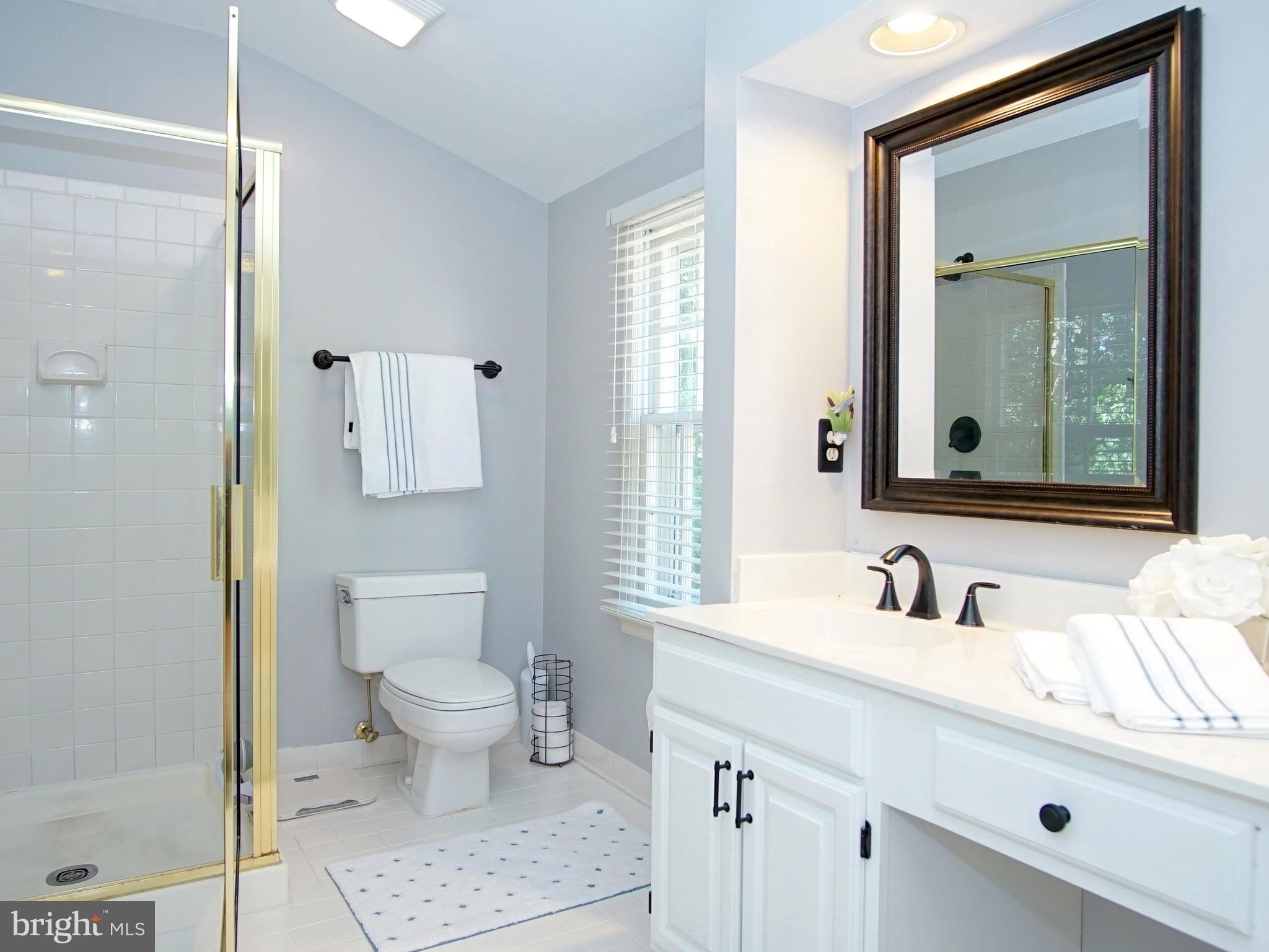 227 Midsummer Circle Gaithersburg, MD 20878 - Photo 13 of 25 a bathroom with a sink a toilet and a mirror