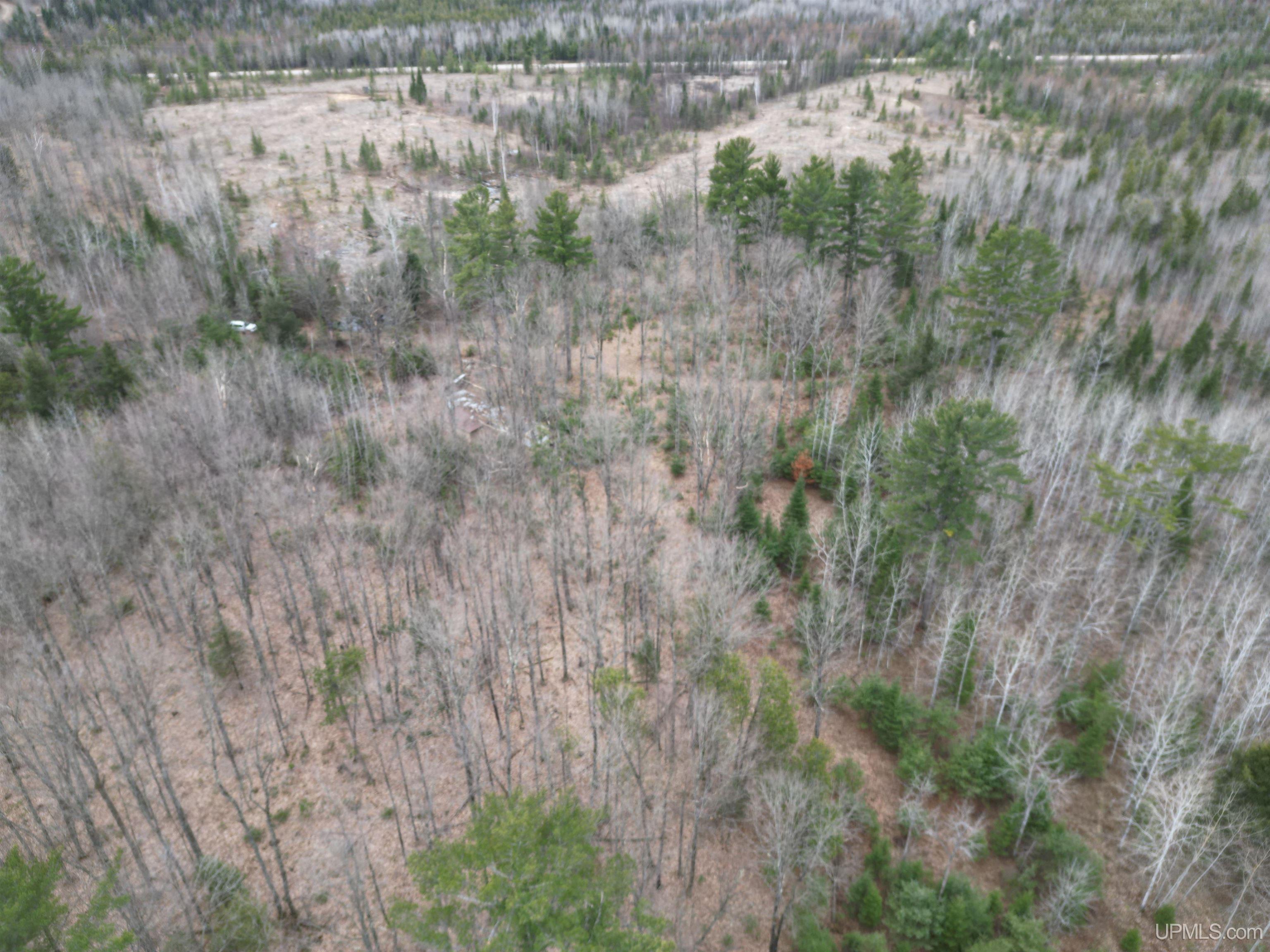 M69 Rd Perronville Mi 49873 Road Perronville, MI 49873 - Photo 15 of 41