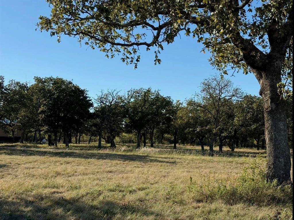 103 County Road Comanche, TX 76442 - Photo 5 of 37 a view of outdoor space with trees