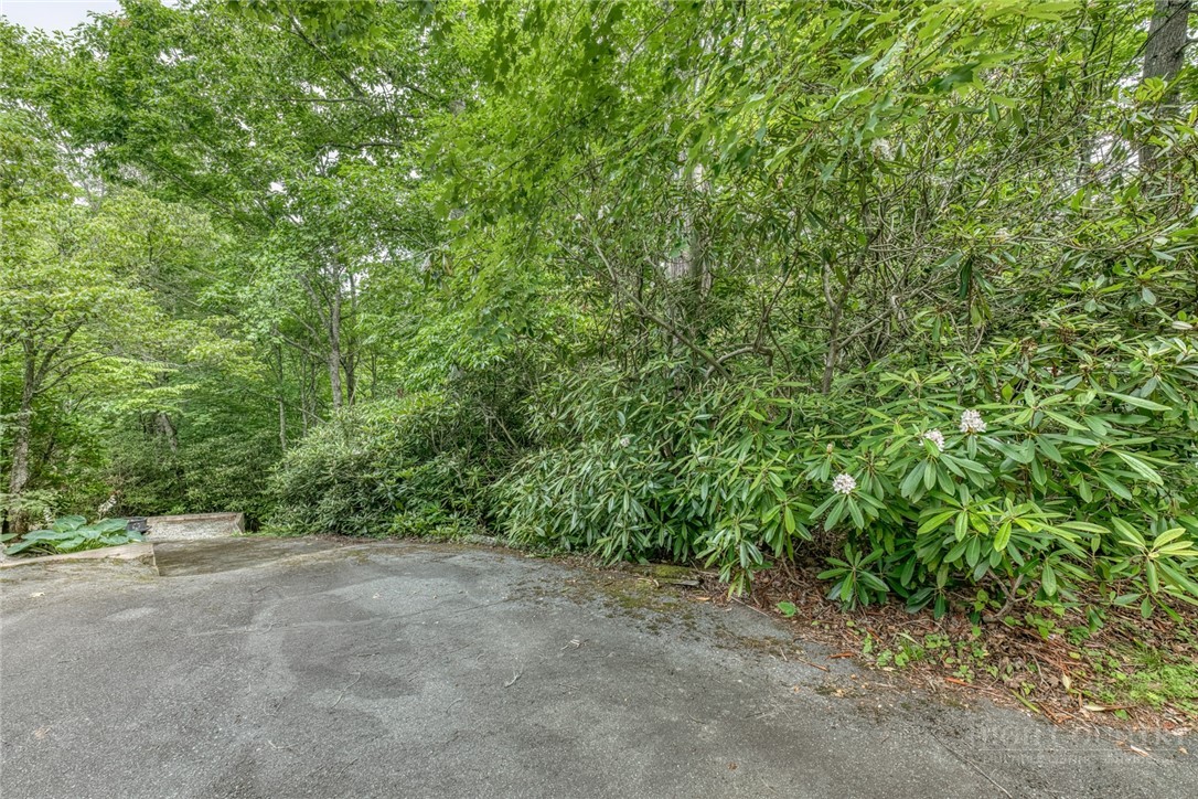 392 Locust Road Newland, NC 28657 - Photo 39 of 43