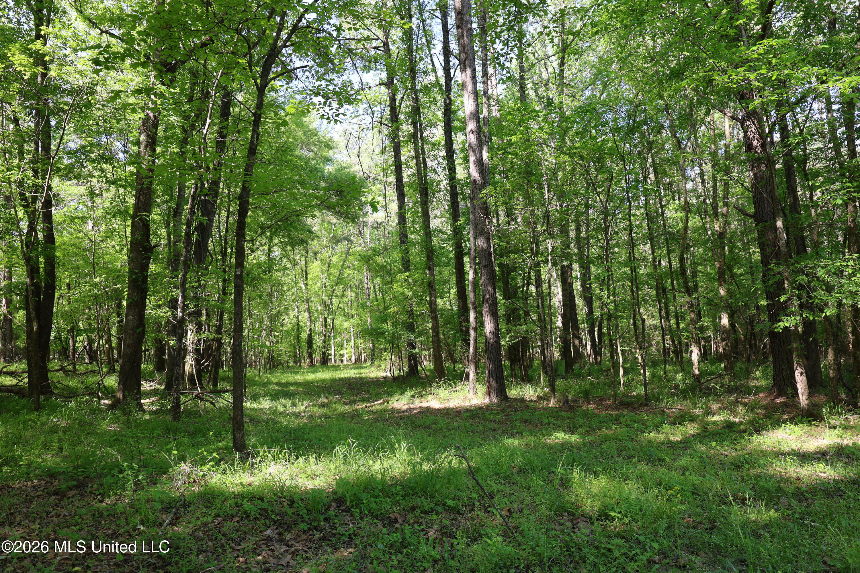 1060 Pearline Bailey Rd Port Port Gibson, MS 39150 - Photo 10 of 63 1B7C63AE-B4D8-491B-BCD3-45C68675CB24