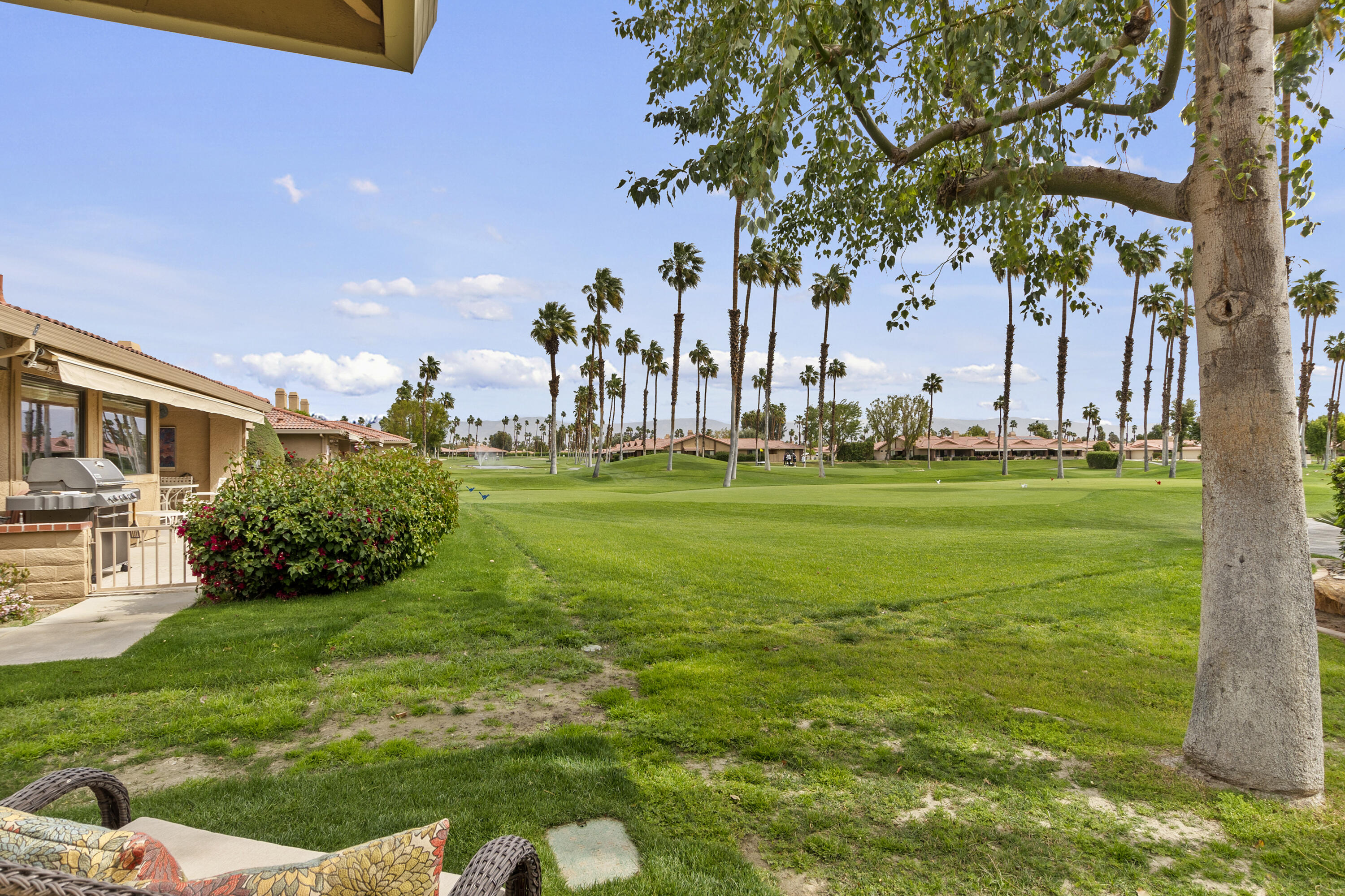 6 Maximo Way Palm Desert, CA 92260 - Photo 29 of 48 a backyard of a house with lots of green space and fountain