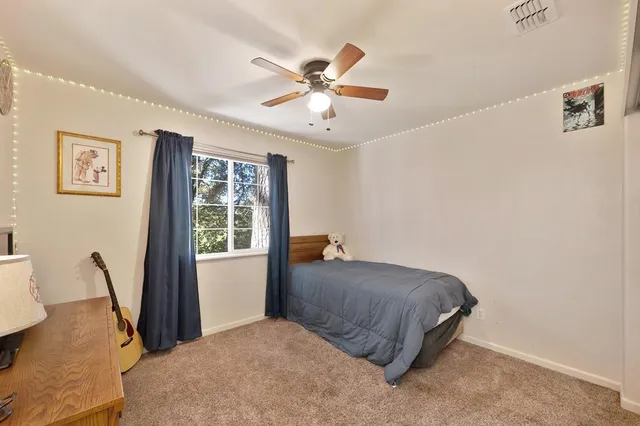 a backyard of a house with plants and large trees