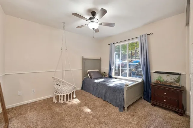 a street view with wooden fence and a tree