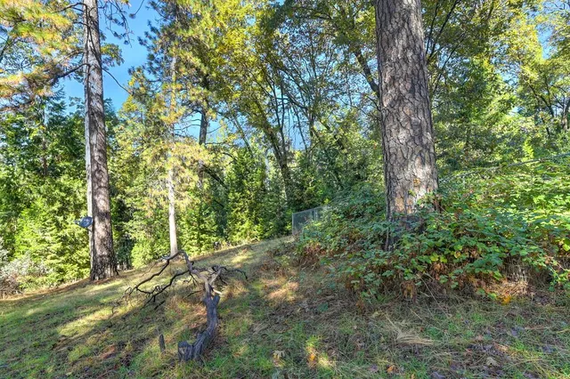 $549,900 | 6584 Green Leaf Lane, Foresthill, CA 95631