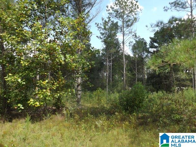 435 Wow Road, Unit 59 Blountsville, AL 35031 - Photo 36 of 49