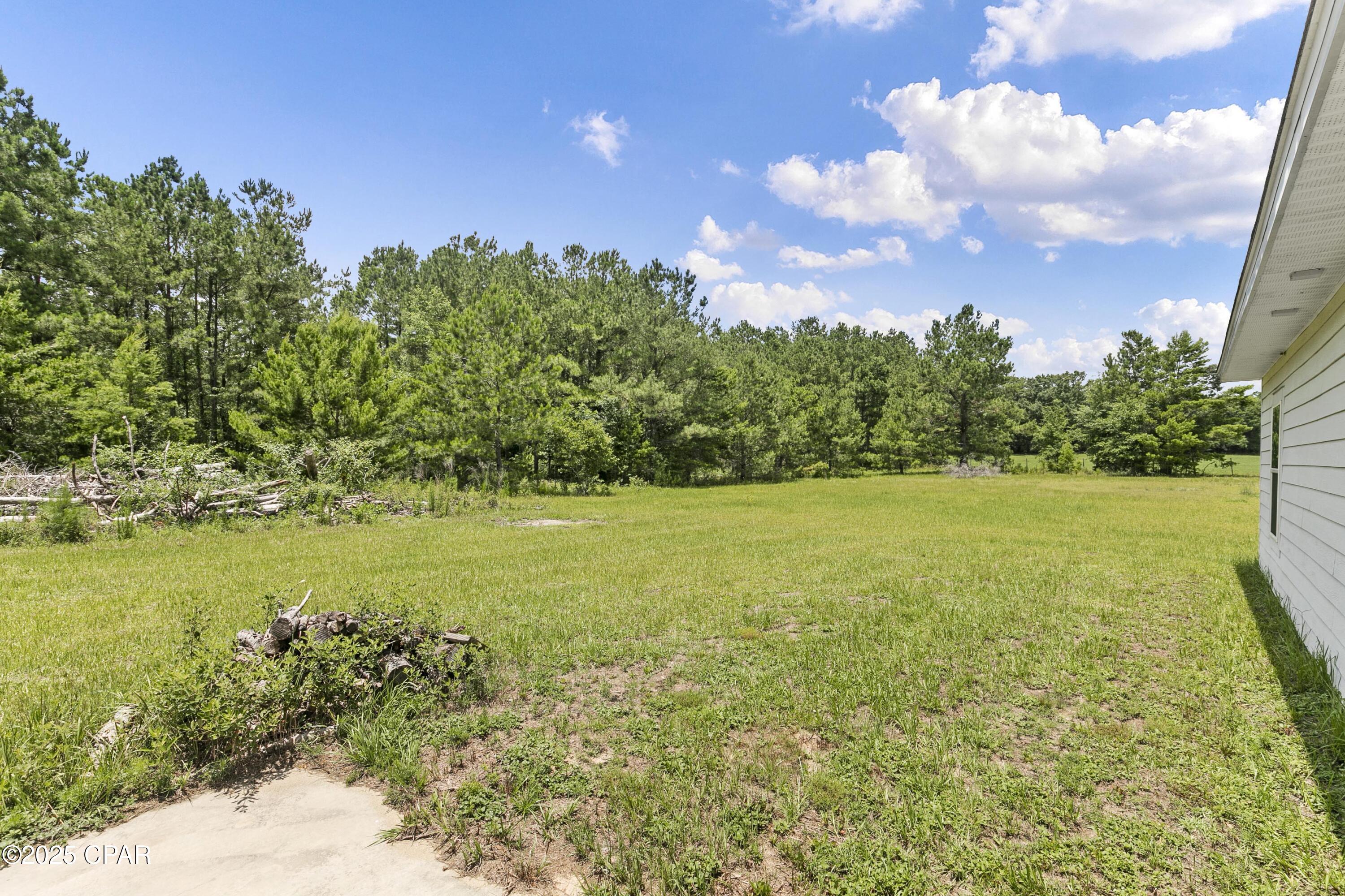 1653 Ledger Road Chipley, FL 32428 - Photo 12 of 46
