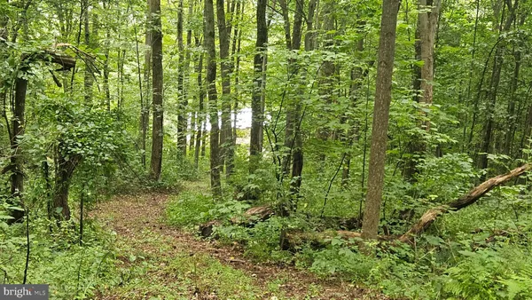 a view of a garden