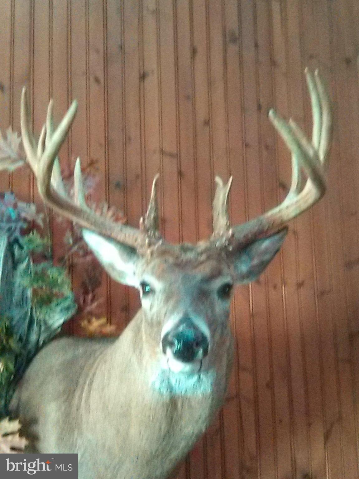 0 Beegle Road Everett, PA 15537 - Photo 13 of 13