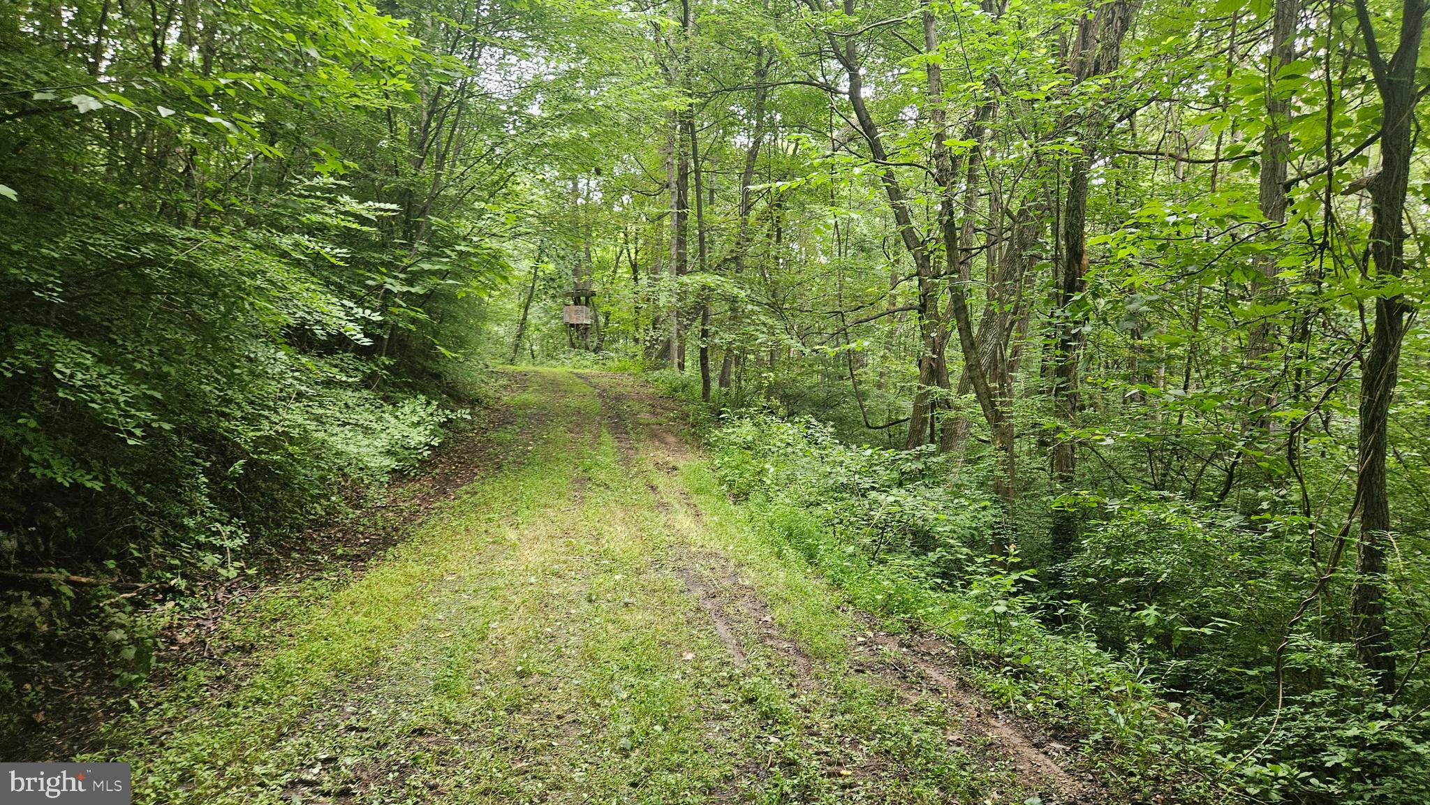 0 Beegle Road Everett, PA 15537 - Photo 3 of 13 a view of a garden