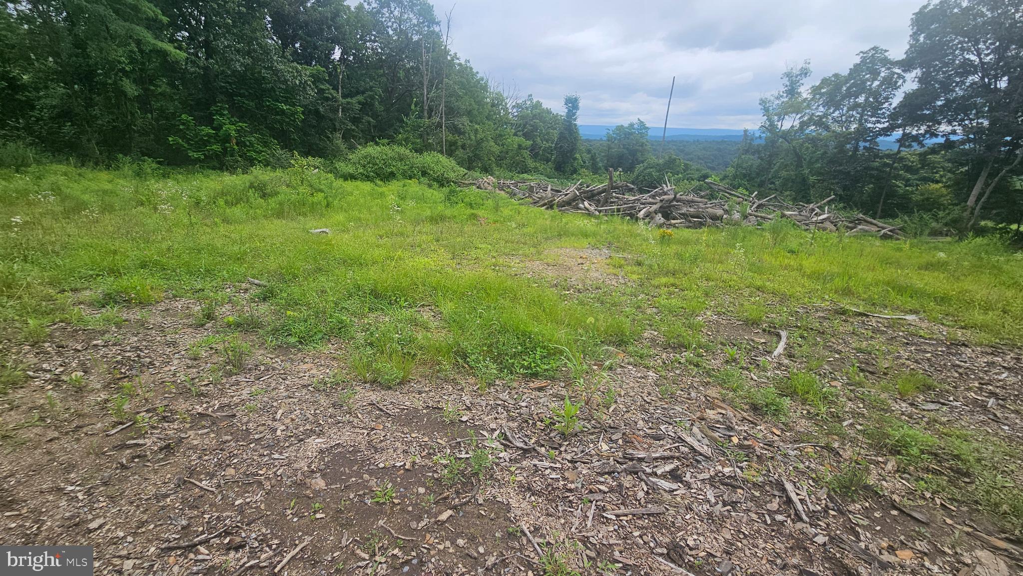 0 Beegle Road Everett, PA 15537 - Photo 5 of 13 a big yard with lots of green space and deers