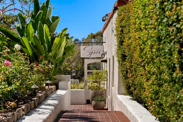 a view of a yard with plants and large trees