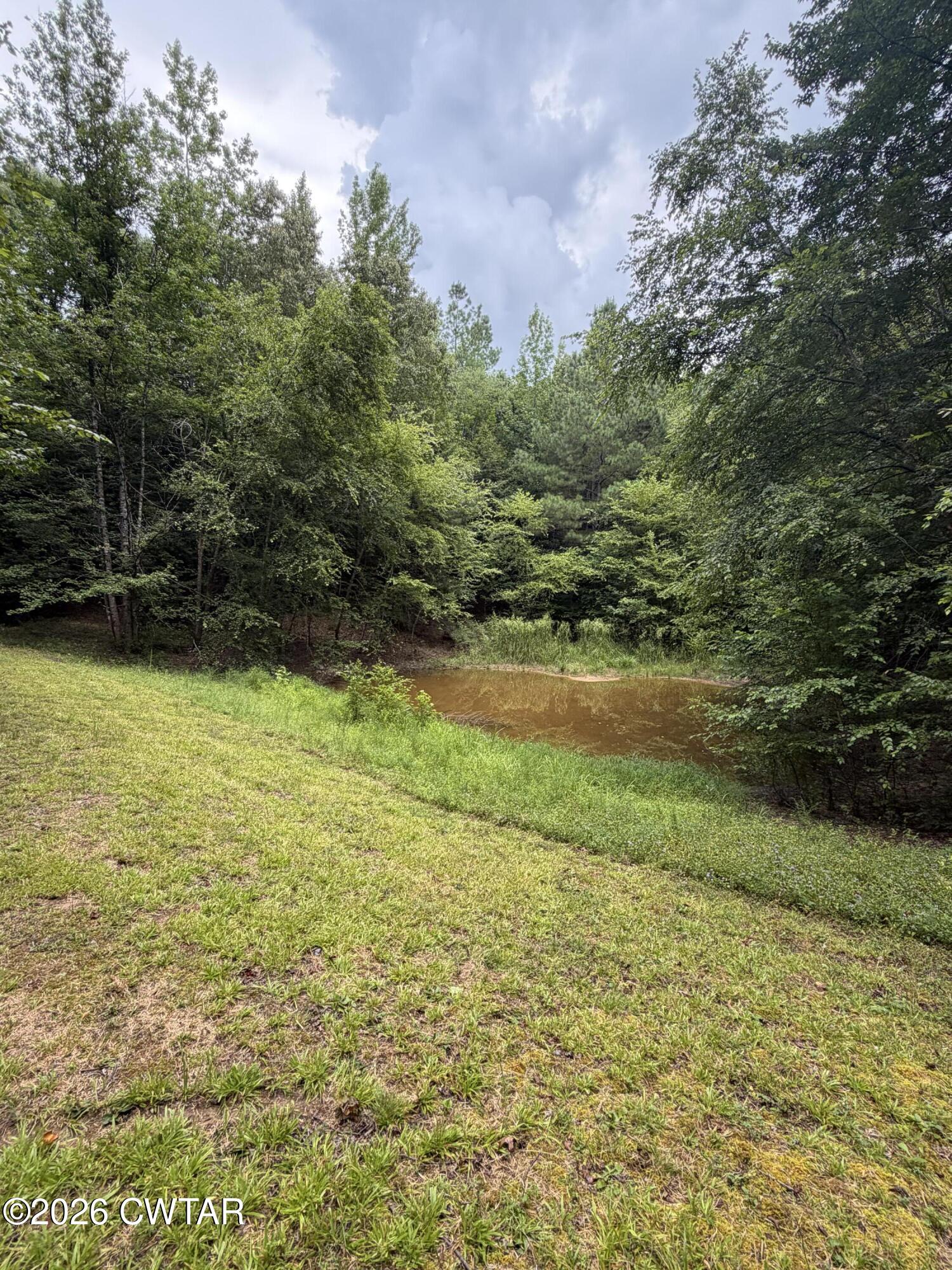 490 Boldan Road Reagan, TN 38368 - Photo 18 of 18 IMG_9005