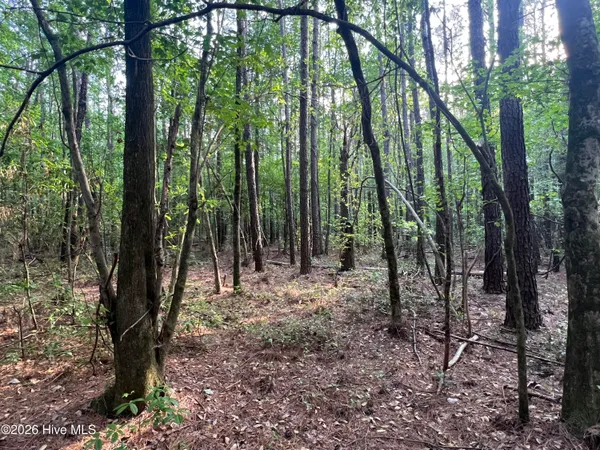 $225,000 | 0 Nc 30, Stokes, NC 27884