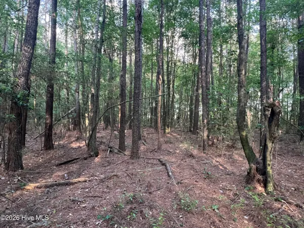 $225,000 | 0 Nc 30, Stokes, NC 27884