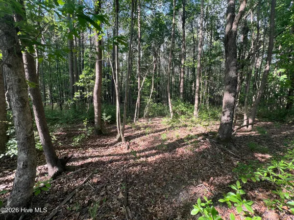 $225,000 | 0 Nc 30, Stokes, NC 27884