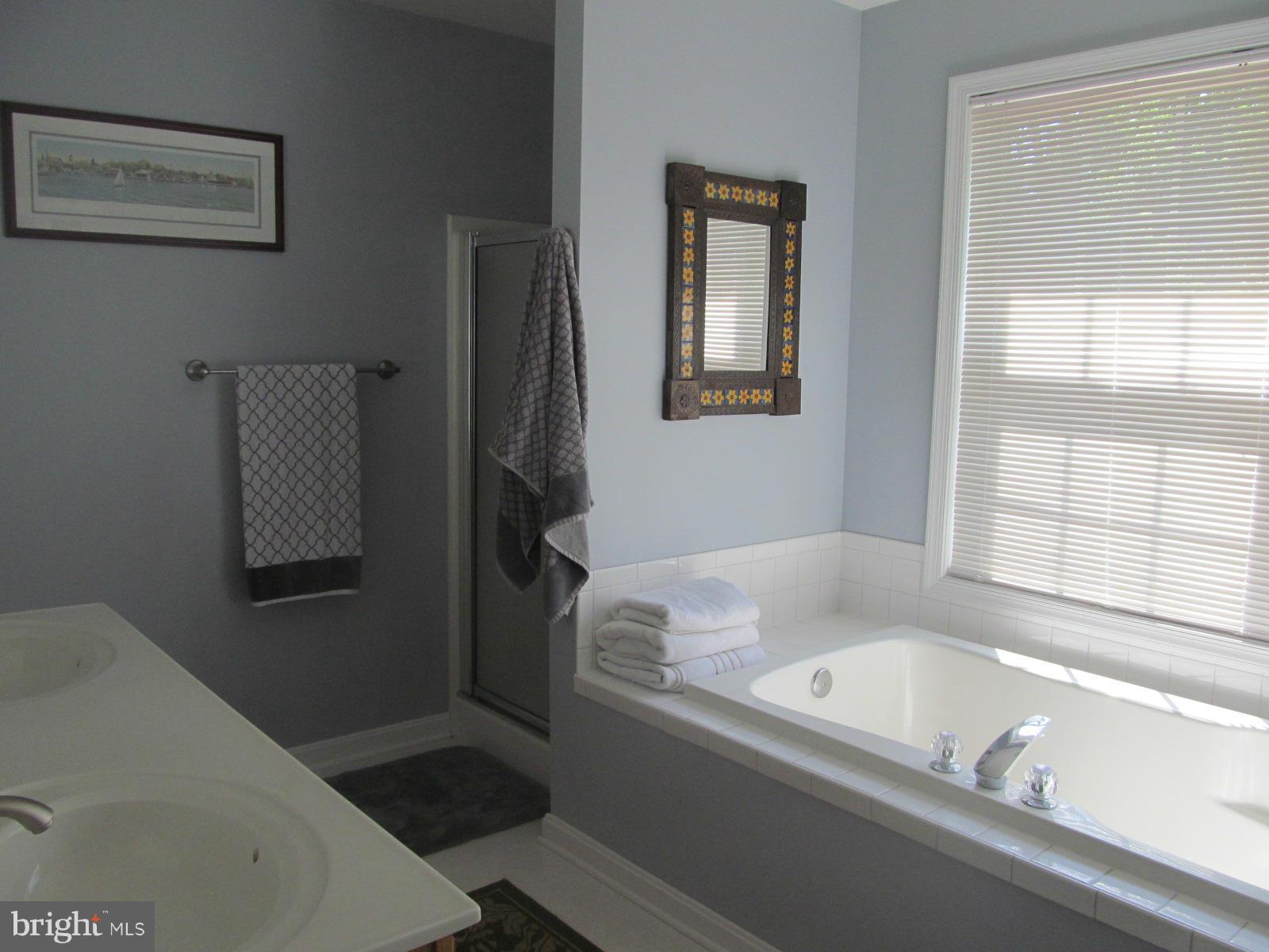 2523 Old Frederick Road Baltimore, MD 21228 - Photo 13 of 23 Master bath