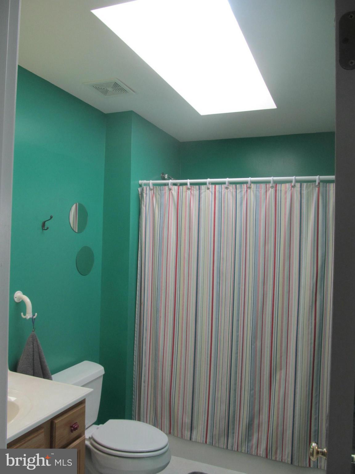 2523 Old Frederick Road Baltimore, MD 21228 - Photo 17 of 23 Guest Bath with skylight
