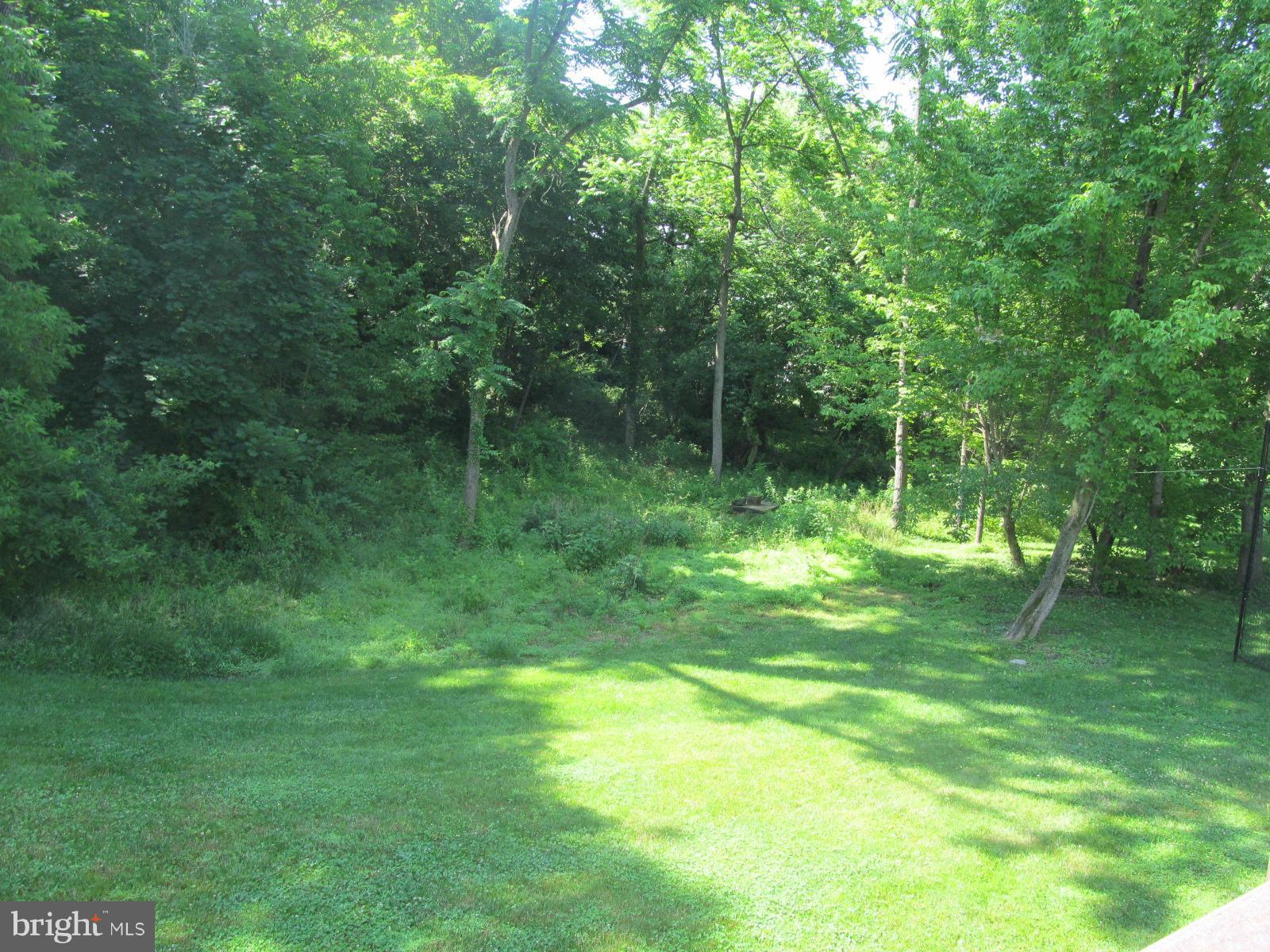 2523 Old Frederick Road Baltimore, MD 21228 - Photo 20 of 23 Rear yard