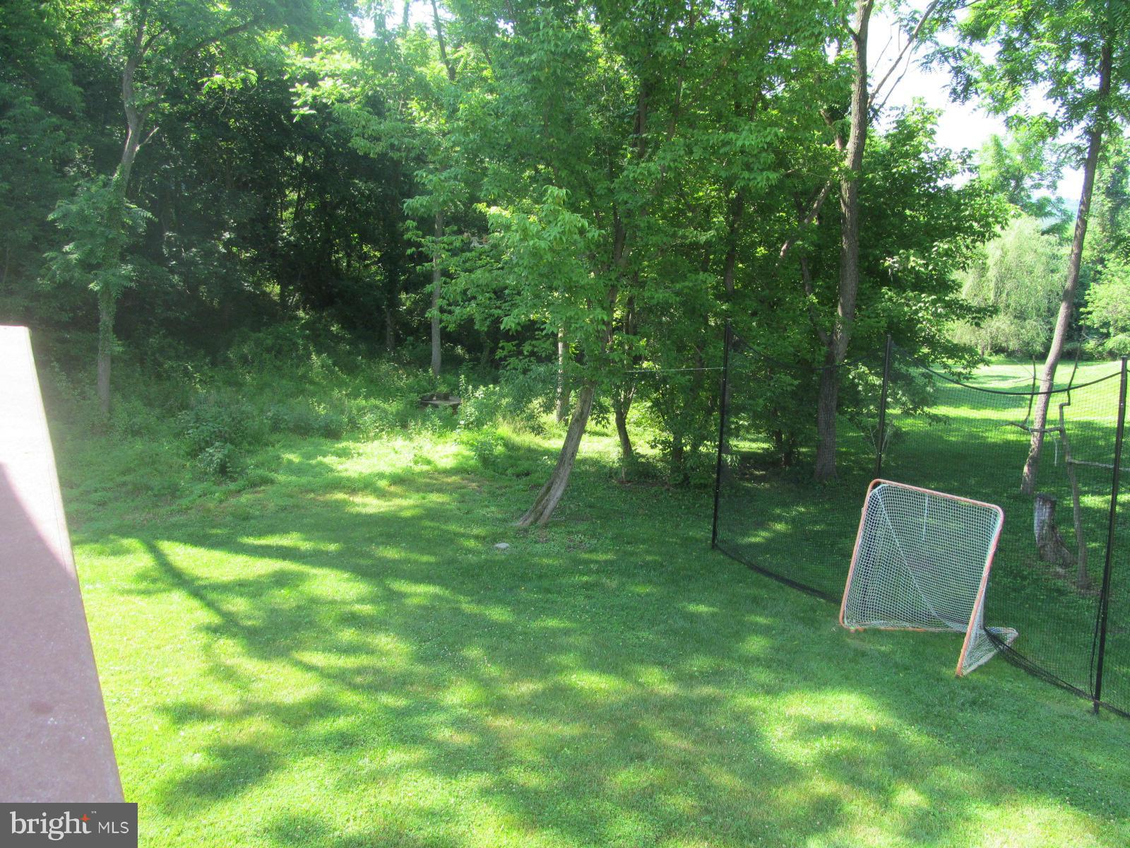 2523 Old Frederick Road Baltimore, MD 21228 - Photo 21 of 23 Side yard