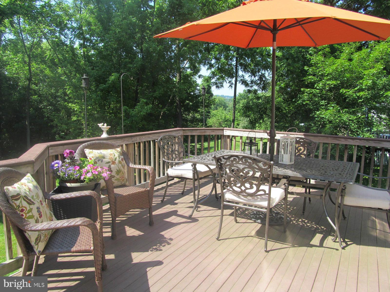 2523 Old Frederick Road Baltimore, MD 21228 - Photo 22 of 23 Trex deck