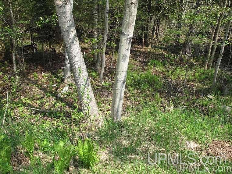 Tbd West Ridge Road Grand Marais, MI 49839 - Photo 8 of 12 Gallery Image 8