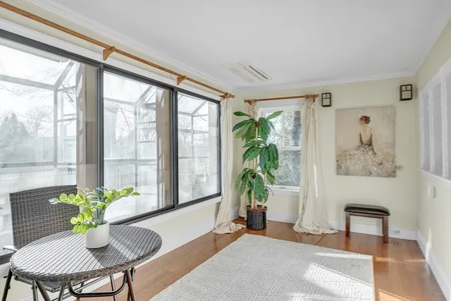 a living room filled with furniture and a potted plant
